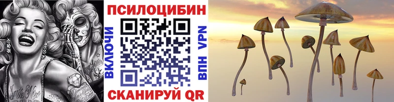 Псилоцибиновые грибы GOLDEN TEACHER дарнет шоп дарк нет какой сайт Луга
